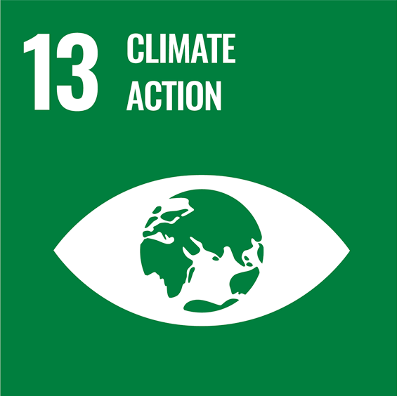 SDG-13-3