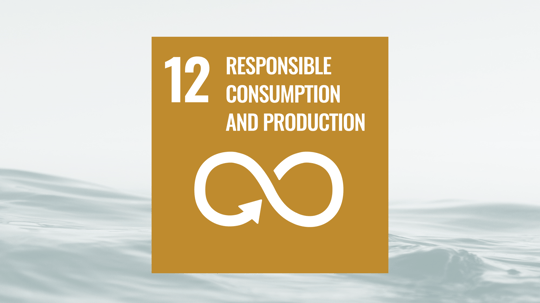 SDG12