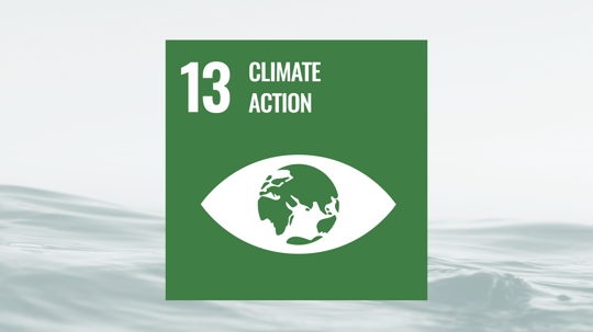 SDG13