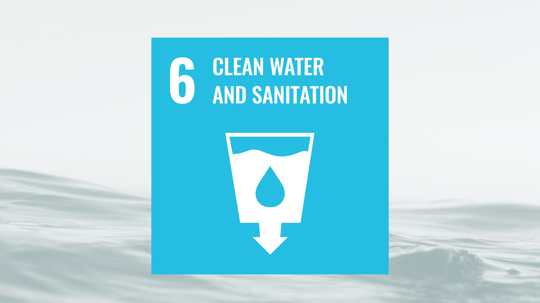 SDG6