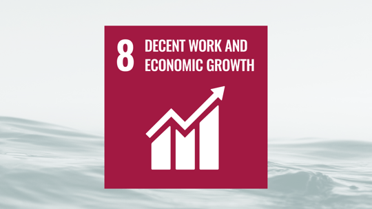 SDG8